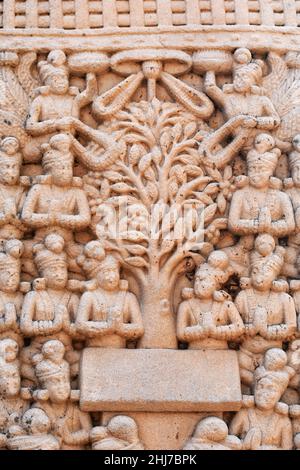 Stupa No 1, West  Gateway, Right Pillar, Inside Panel 1: Worshippers around a Bodhi tree which represents enlightenment of Buddha. World Heritage Site Stock Photo