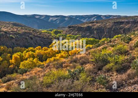 Bonita Creek Canyon, near Gila River confluence, Gila Box Riparian National Conservation Area, near Safford, Arizona, USA Stock Photo