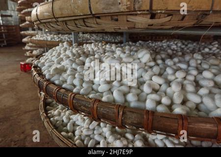 Small silk factory around Da Lat in Vietnam Stock Photo