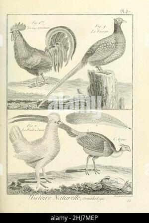 Tableau encyclopédique et méthodique des trois règnes de la nature (Pl. 87) (7850603662). Stock Photo