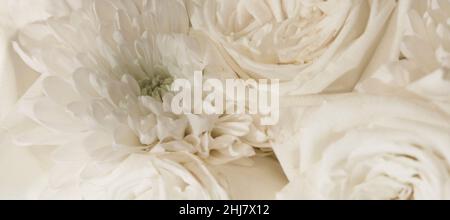 banner with white flowers background. close up bouquet of white roses and chrysanthemums. Summer, spring or wedding concept. minimalism. soft focus. Stock Photo