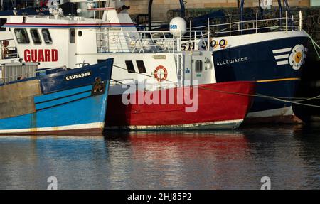 Inshore fishing boats tie up at dock in Scarborough Harbour. Fishing is an industry in decline after years of over exploitation and EU fishing rules Stock Photo