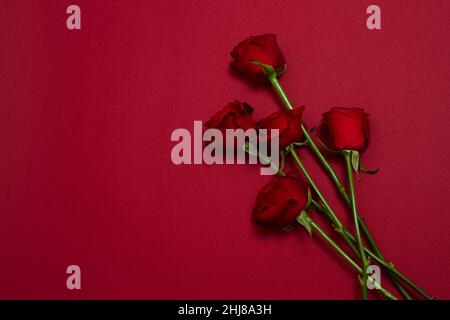 Send flowers online concept. Flower delivery for valentine and mother day. Bouquet of red roses isolated on red background. Post card design with beau Stock Photo