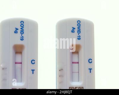 close-up of two lateral flow test results, one negative, one positive Stock Photo
