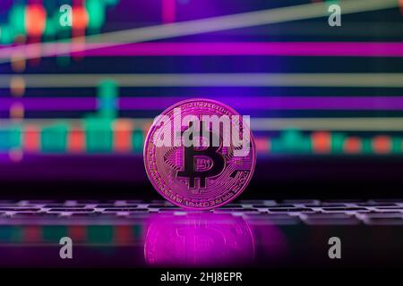 Bitcoin on the background of a graph on a laptop in neon light. Cryptocurrency. Stock Photo
