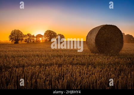 Haystack in Denmark with the sun setting behind Stock Photo