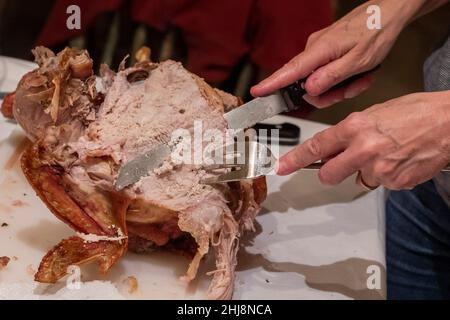 Carving the turkey for Thanksgiving dinner. Stock Photo
