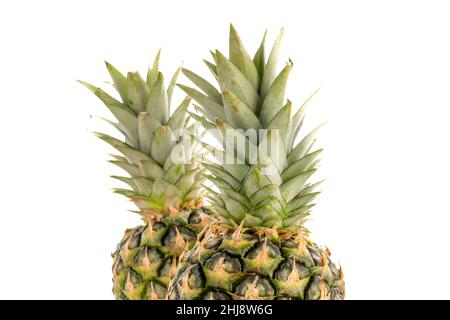 Two ripe organic pineapples, close-up, isolated on white. Stock Photo
