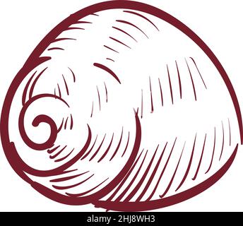 Seashell vector illustration. Hand drawn illustration of sea Shell on ...