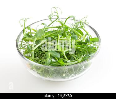 Fresh microgreens of pea in glass bowl isolated on white background Stock Photo