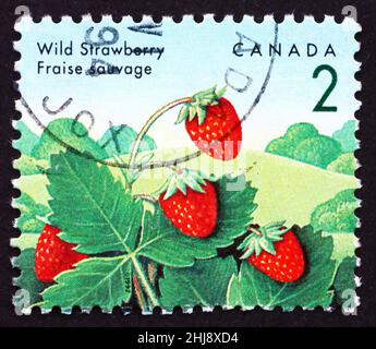 CANADA - CIRCA 1992: a stamp printed in the Canada shows Wild Strawberry, Fragaria Vesca, Plant, Fruit, circa 1992 Stock Photo
