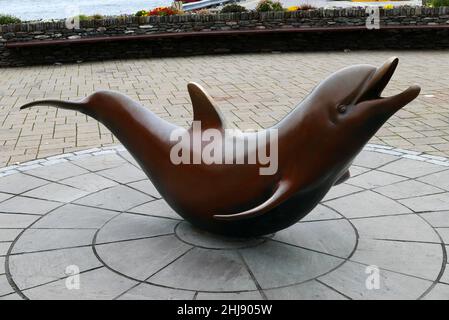 Fungie the dolphin, Dingle, Kerry county, Munster province, Republic of Ireland, Europe Stock Photo