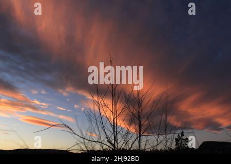 blurred branches against the clouds background - Bærum Stock Photo