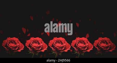 Row of of red roses on romantic background. Stock Photo