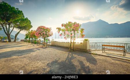 Bench and trees on the lakefront of Lake Como at sunset. Bellagio town, Italy, Europe Stock Photo