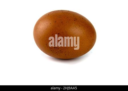 Chicken egg isolated on white Stock Photo