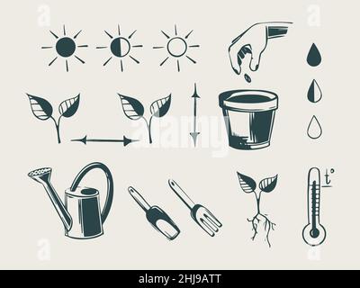 Step by step instructions for planting seeds of plants and flowers. Vector sketch icons of the process of planting and growing seeds, watering rates Stock Vector
