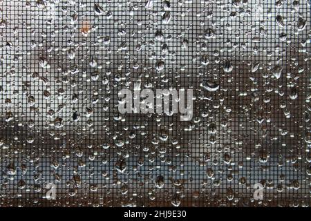 Close-up of raindrops accumulated on a wondow and wire mesh screen. Stock Photo
