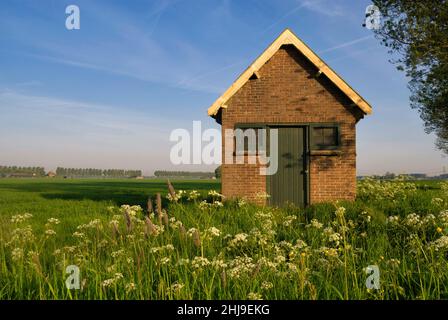Shed in a wild flower covered landscape near Dordrecht Stock Photo