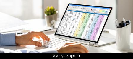 Electronic Spreadsheet Analyst Or Auditor Using Software On Hybrid Laptop Stock Photo