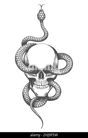 Tattoo of Skull and Snake drawn in engraving style isolated on white background. Vector illustration. Stock Vector