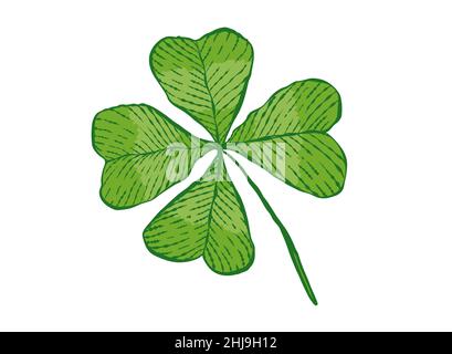 Vintage green lucky clover with four leaf in hand drawing style for Patrick's day. Stock Vector