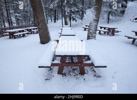 Forest picnic area with food wooden bench covered in snow. Winter snowy season snowstorm. Stock Photo