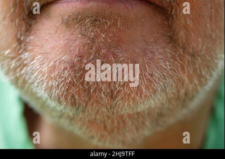 A couple of days beard growth or stubble is pictured on a middle aged man's chin. Stock Photo