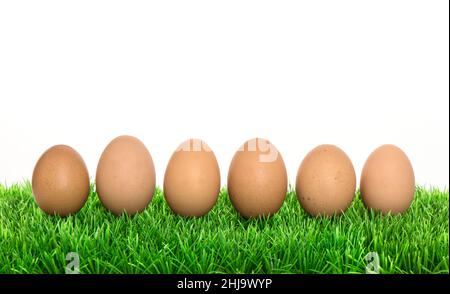 Easter eggs in green grass. Funny holidays decoration. Long banner Stock Photo