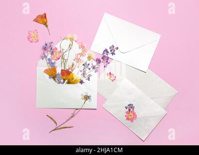 Envelopes with dried pressed flowers on pink background Stock Photo