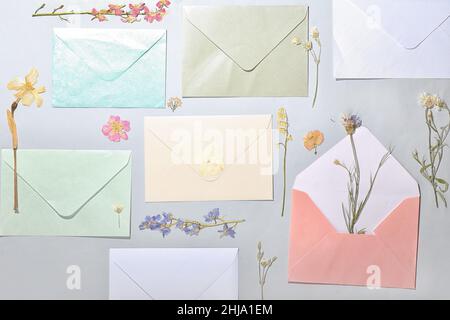 Composition with dried pressed flowers and envelopes on light background Stock Photo