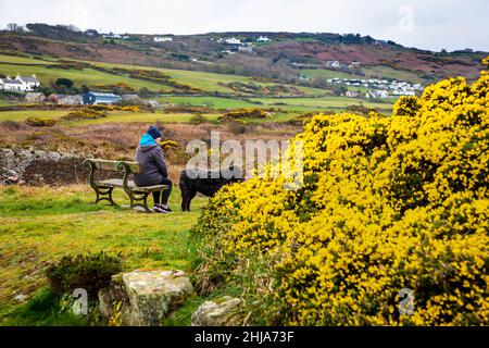 Lady and her black Labradoodle dog sit viewing Porth Eilian on the Isle of Anglesey Stock Photo