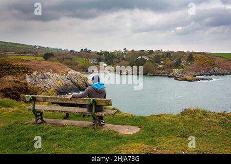 Lady and her black Labradoodle dog sit viewing Porth Eilian on the Isle of Anglesey Stock Photo
