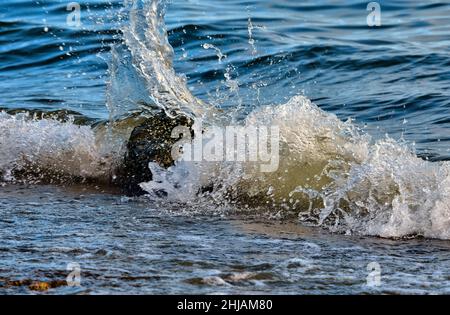 A wave splashing on a rock resting on the shore on Vancouver Island in British Columbia Canada. Stock Photo