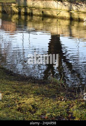 reflection of tree in river, thetford, norfolk, england Stock Photo