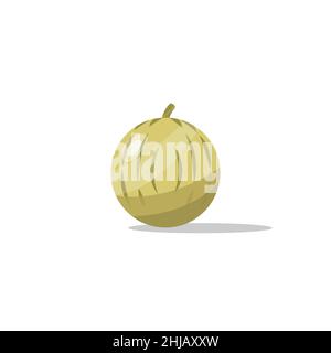 flat design cantaloupe cartoon fruit. vector illustration Stock Vector