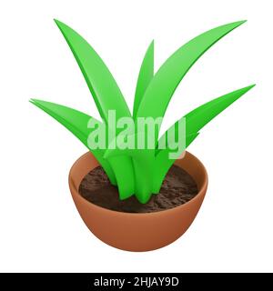 3d rendering of plants in pots Stock Photo