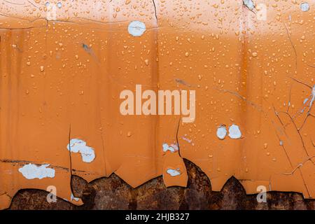 Close up on wet background of orange grunge and rusty metal surface after raining, coating peeled off showing rusty texture inside. Stock Photo