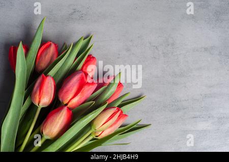 Bouquet of fresh red tulip flowers sitting on dark surface background with copy space Stock Photo