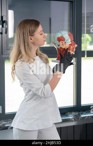 Cosmetologist holding anatomical artificial model of head in cometology clinic. Maquette of face for doctor use Stock Photo