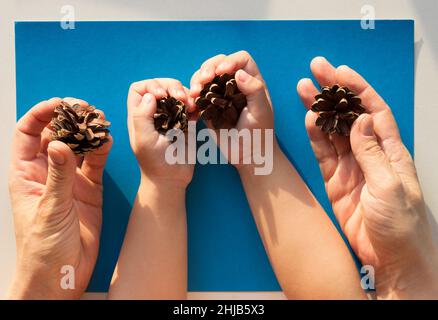 Top view of child hands and adult hands holding cones on blue background Stock Photo