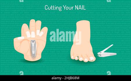 cutting hand and foot nail. body part beautiful color. vector illustration eps10 Stock Vector