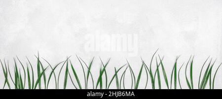 Green grass on silvery white shabby textured background. Flat lay. Abstract herb wide banner with large copy space Stock Photo