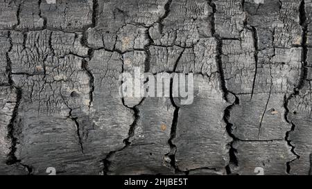 black burnt wood texture, black charcoal backdrop. Stock Photo