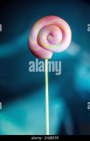 Colorful lollipop swirl on stick. Striped spiral multicolored pink candy on blue background, holding in hand Stock Photo