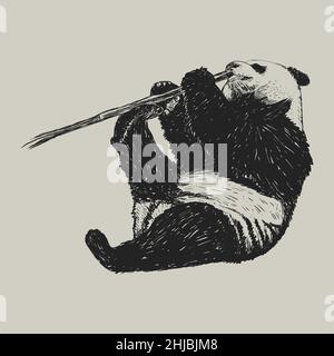 Panda sketch hand drawing Stock Vector