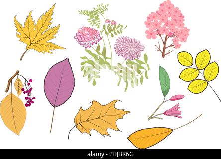 Flower and green leaves. Set of floral elements. Wedding concept .Vector arrangements for greeting card or invitation design. Stock Vector