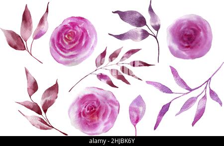 Flower and green leaves. Set of floral elements. Wedding concept .Vector arrangements for greeting card or invitation design. Stock Vector