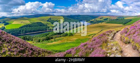 View of Ladybower Reservoir and flowering purple heather, Peak District National Park, Derbyshire, England, United Kingdom, Europe Stock Photo