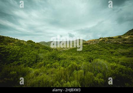 Beautiful view of green country landscape with bright sky in the horizon Stock Photo